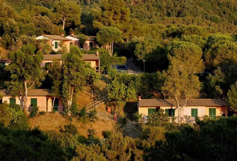 کلبه ییلاقی دلوکس یک خوابه, Camping Village Rosselba Le Palme