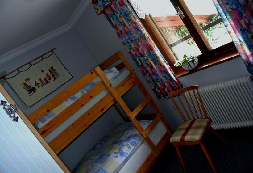 آپارتمان 1 خوابه با بالکن, Treindlhof