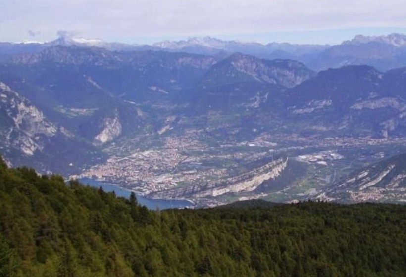اتاق استاندارد, Doria