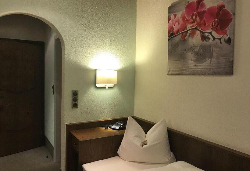 Номер Стандарт Индивидуальный, Gasthof & Hotel Goldener Hirsch