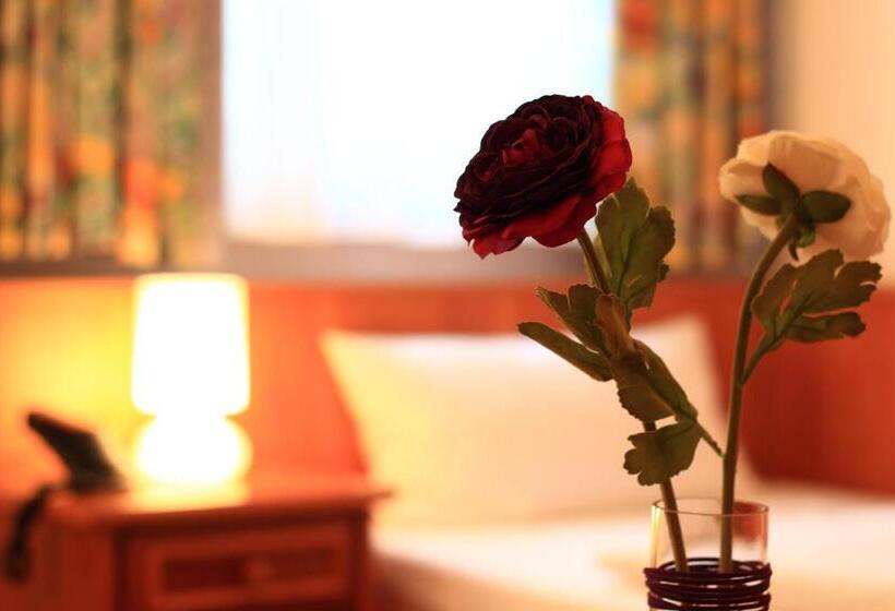 غرفة قياسية فردية, Altstadthotel Fürth