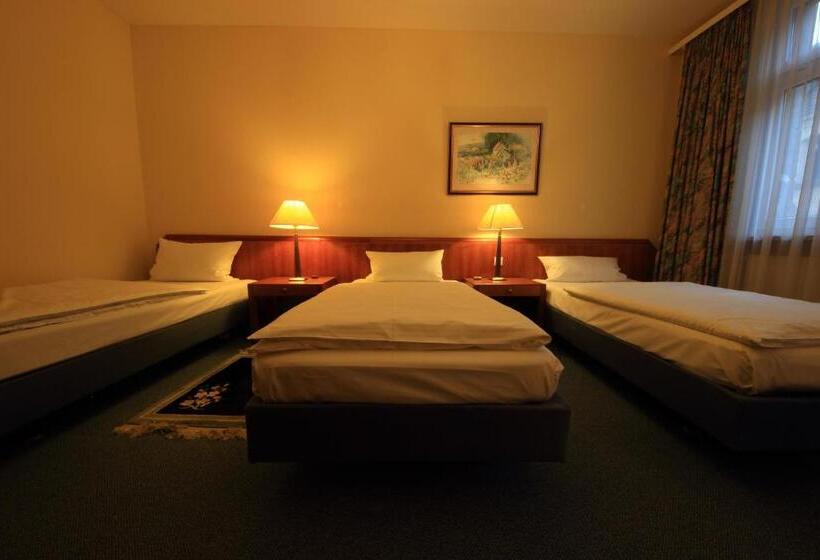 شقة كومفورت غرفة نوم واحدة, Altstadthotel Fürth