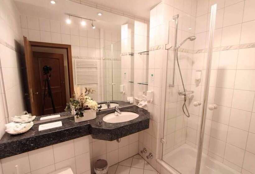 舒适型单人间, Akzent Hotel Jonathan