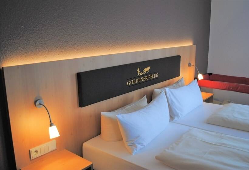 Номер Стандарт, Landgasthof Goldener Pflug