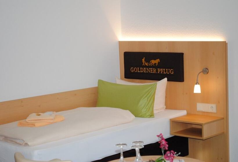 Номер Стандарт, Landgasthof Goldener Pflug