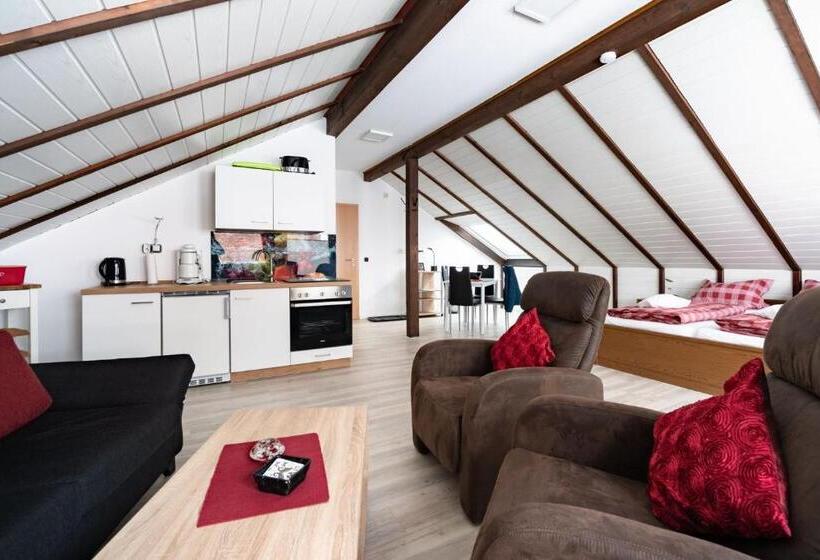 إستوديو قياسى, Schröder S Hotelpension