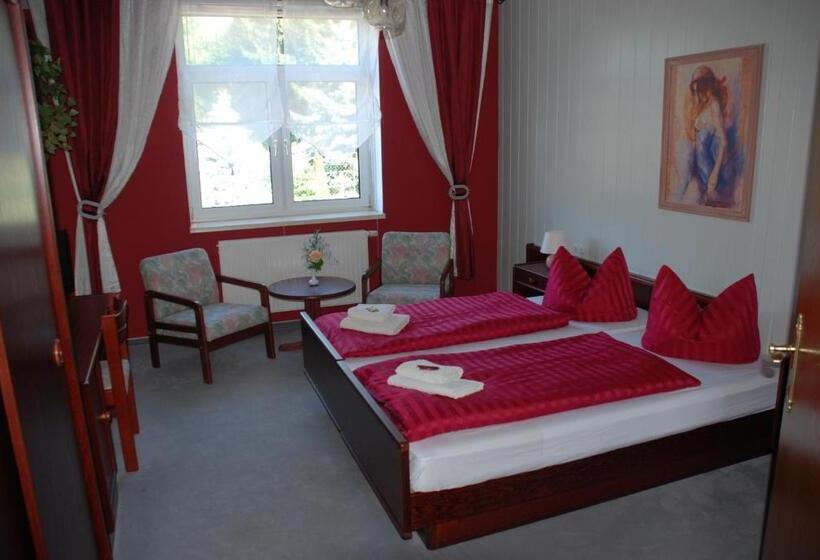 标准间, Gasthof Und Pension Frankenthal   Garni