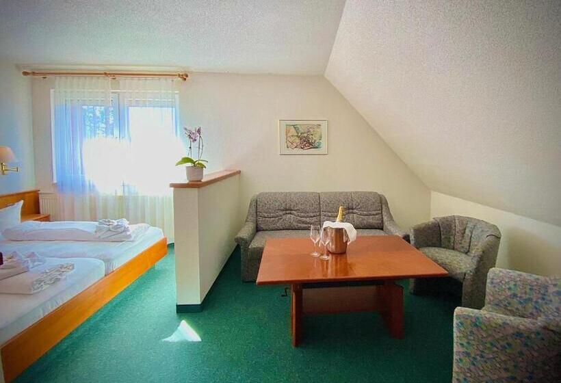 Номер Комфорт, Meister Bär Hotel Wettiner Hof