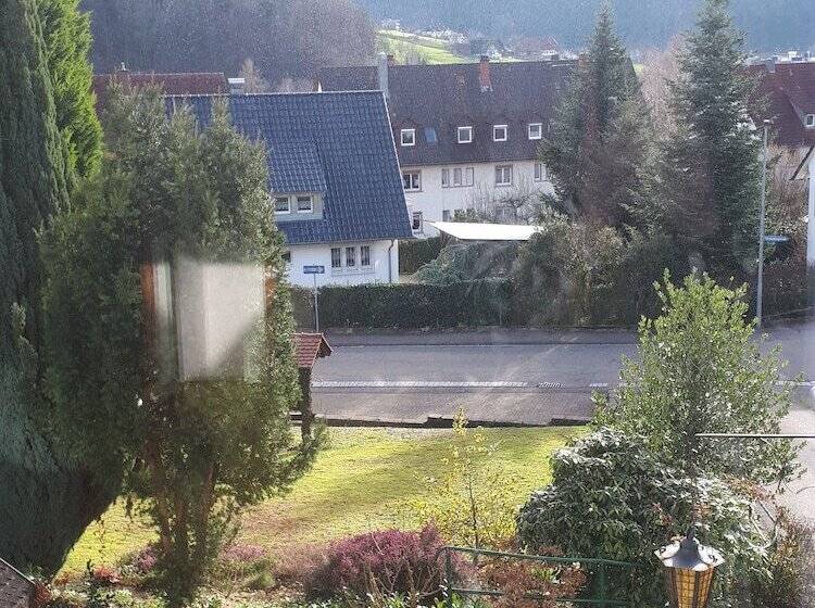 싱글 기본룸, Schwarzwaldhotel Garni Wolfach