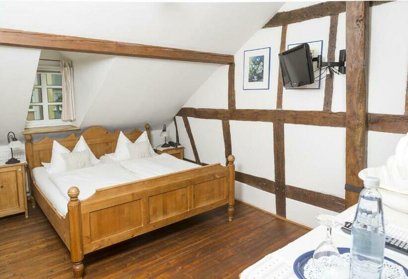 스탠다드 싱글 룸, Altes Stadttor