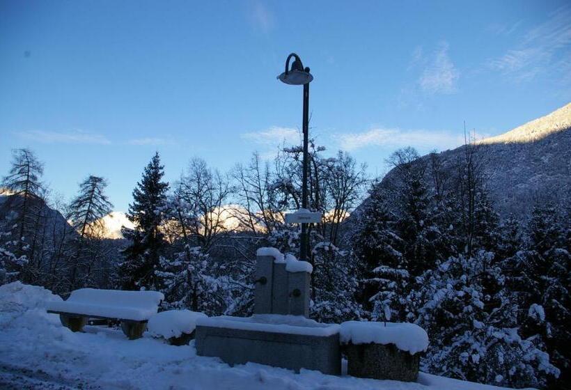 Номер Стандарт, Thalerhof