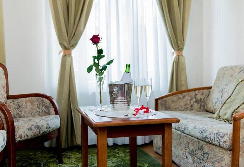 Номер Комфорт, Villa P'alinka
