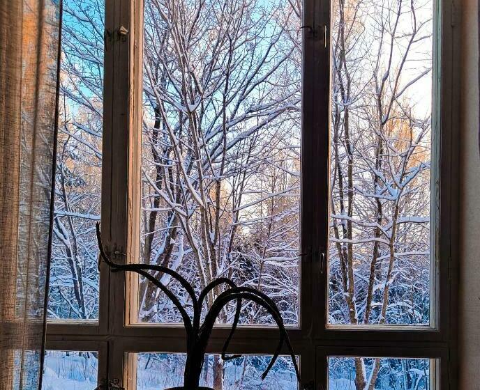 Семейный Номер Совместный Санузел, Vanhan Koulun Majatalo Old School Guest House