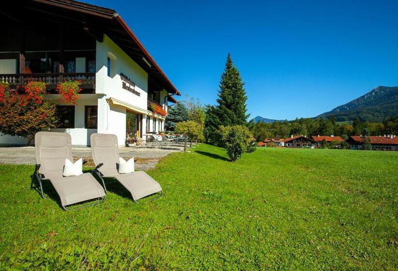 Номер Стандарт Вид на Горы, Gästehaus Menkenbauer