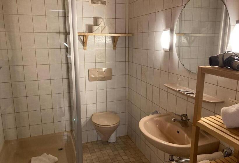 Апартаменты 1 Спальня с Террасой, Gästehaus Menkenbauer
