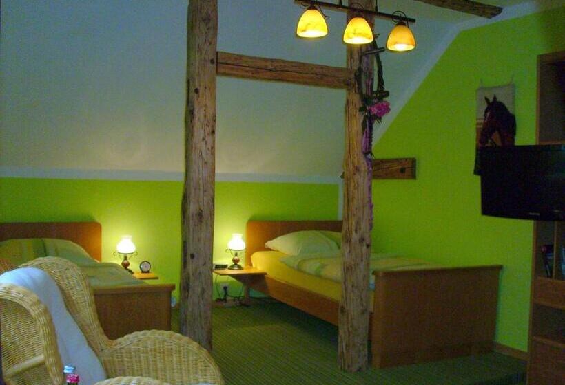 Номер Deluxe, Landhotel Sonnenhof Im Wendland