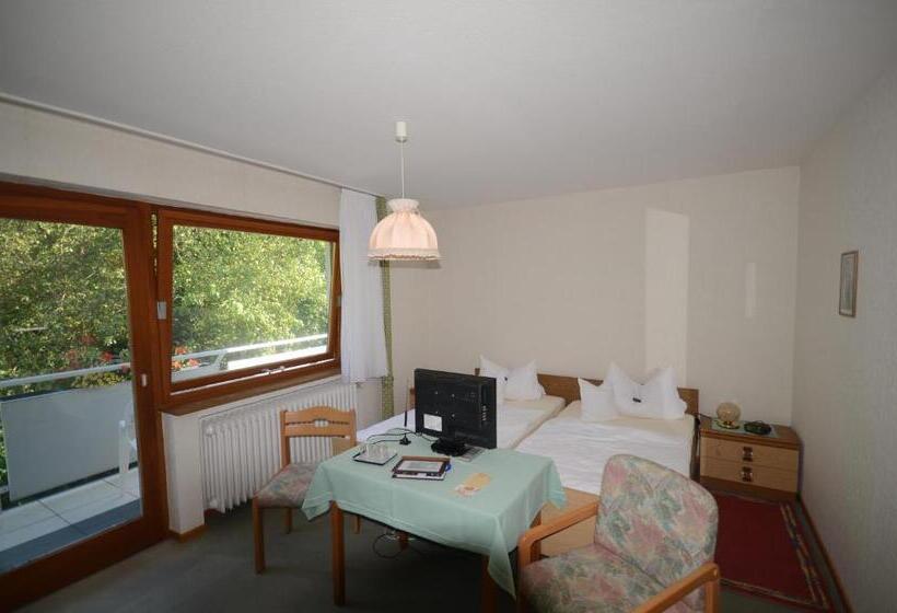 Номер Стандарт, Pension Burk