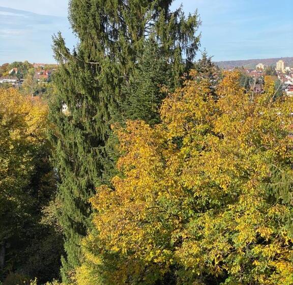 스위트, Bitzer Backnang