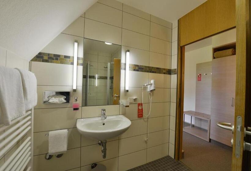 Номер Стандарт, Tagungszentrum Schmerlenbach