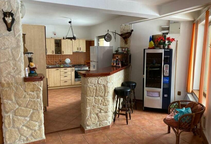 Вилла 1 Спальня, Vila Ianis Bran