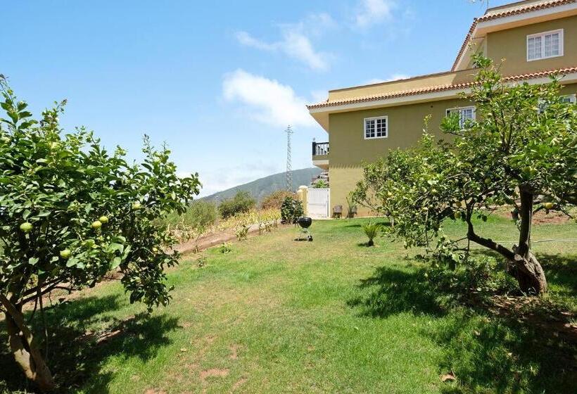 Номер Стандарт, House Vochozka