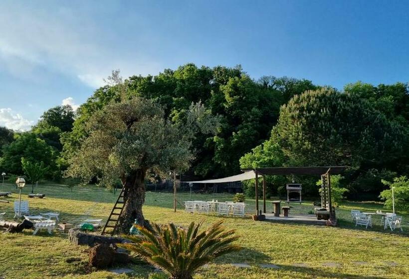اتاق خانوادگی, Antico Palmento Dell Etna
