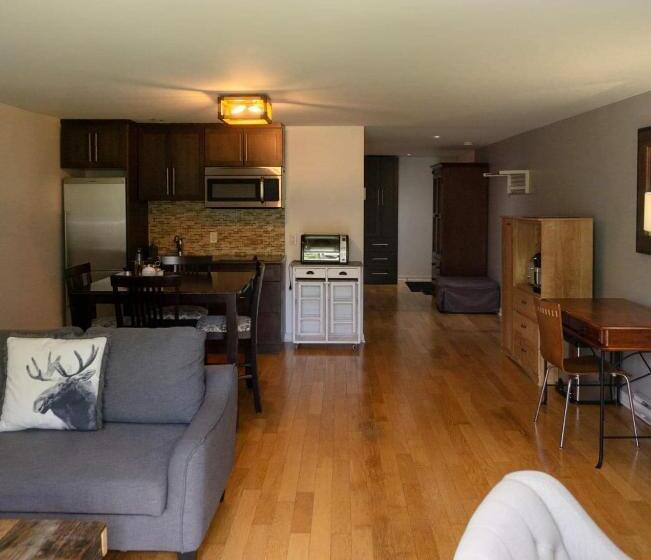 Семейное Студио, Condo Hotel Au Pied Du Mont Orford