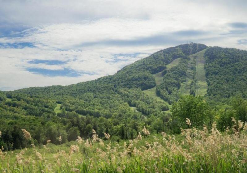 Студия Deluxe, Condo Hotel Au Pied Du Mont Orford