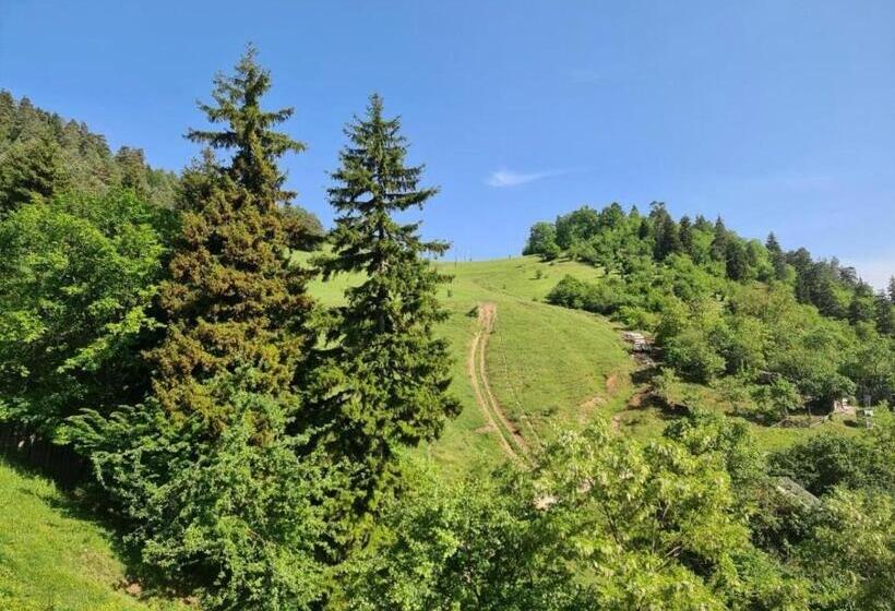 اتاق استاندارد با چشم‌انداز کوهستان, Holiday Borjomi