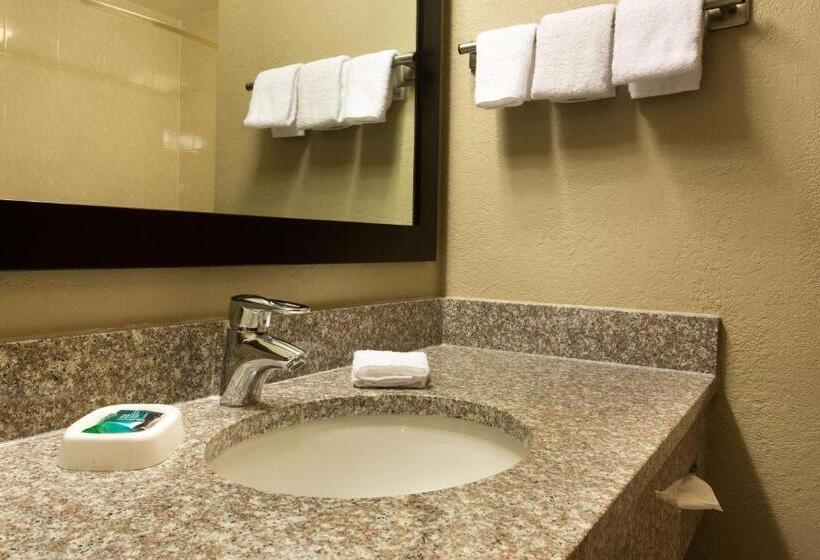 带大床的豪华间, Drury Inn & Suites Cincinnati Sharonville