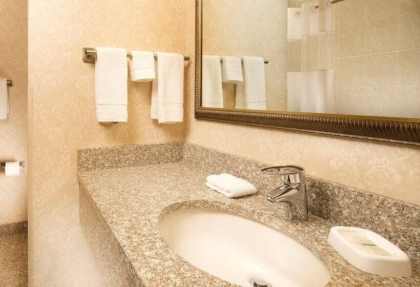 豪华房间, Drury Inn & Suites Cincinnati Sharonville