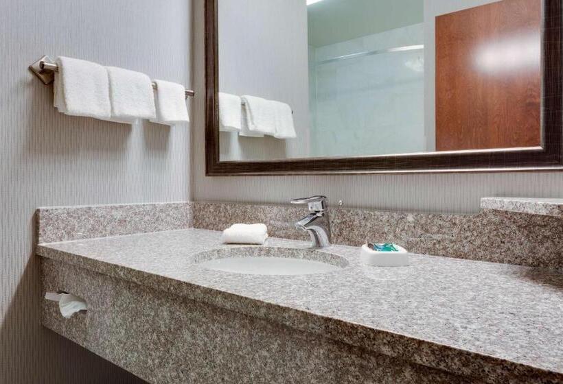 Номер Deluxe Адаптированный для Инвалидов, Drury Inn & Suites St. Louis/o Fallon, Il