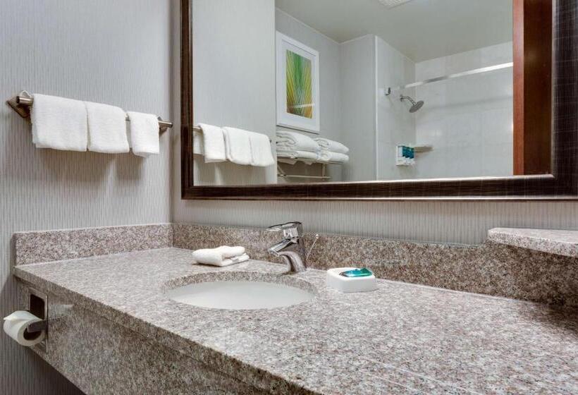 Люкс Superior, Drury Inn & Suites St. Louis/o Fallon, Il