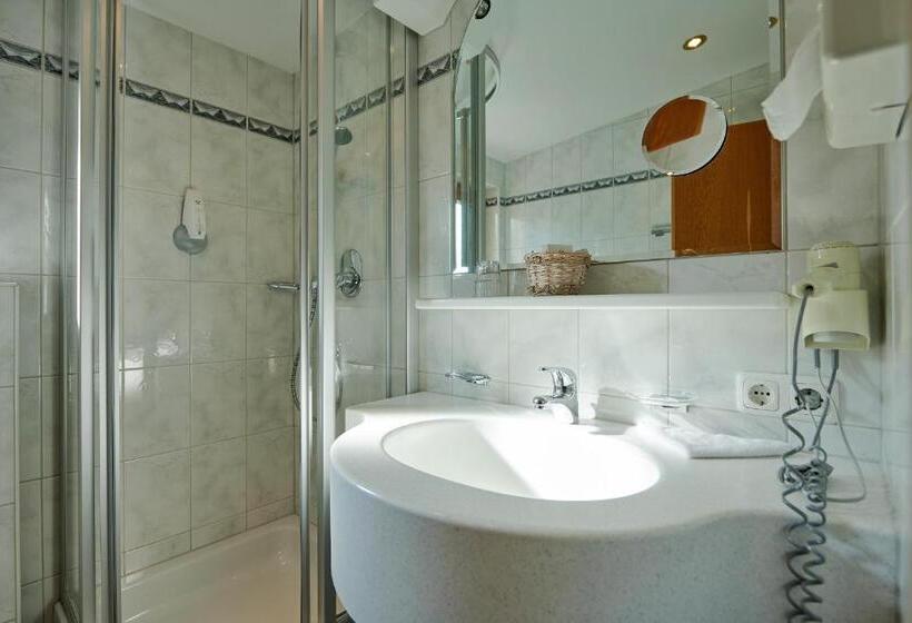 Номер Superior Одноместный, Appartement Roggal