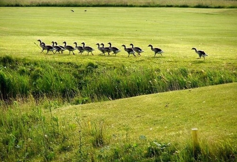 Полулюкс, Golf  & Landhotel Am Alten Deich