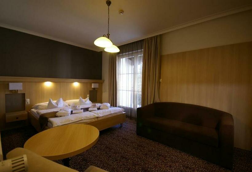 Номер Стандарт, Xavin Wellness Hotel & Restaurant