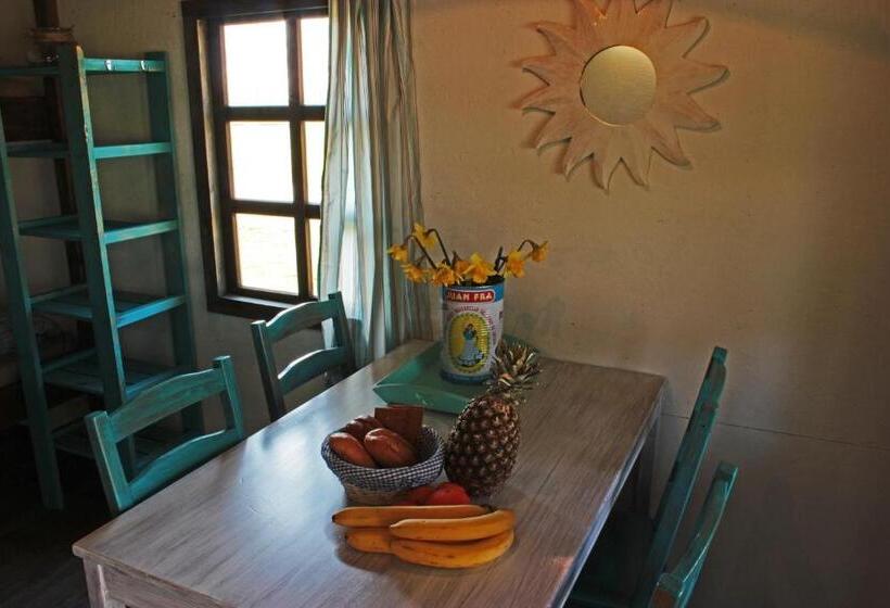 오두막, B&b Welgelegen