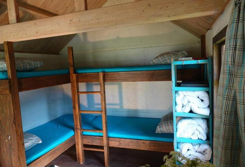 오두막, B&b Welgelegen