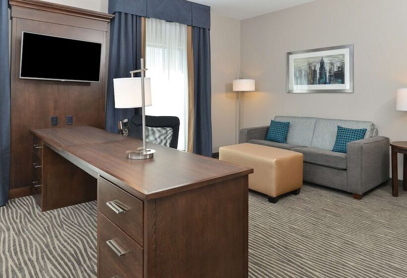 스탠다드 스튜디오 더블 침대, Hampton Inn & Suites Des Moines Downtown
