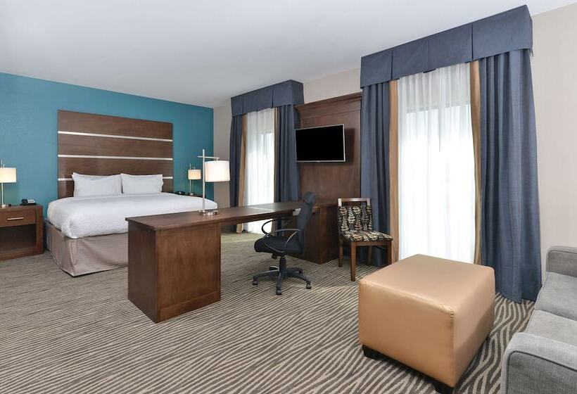 스탠다드 스튜디오 더블 침대, Hampton Inn & Suites Des Moines Downtown