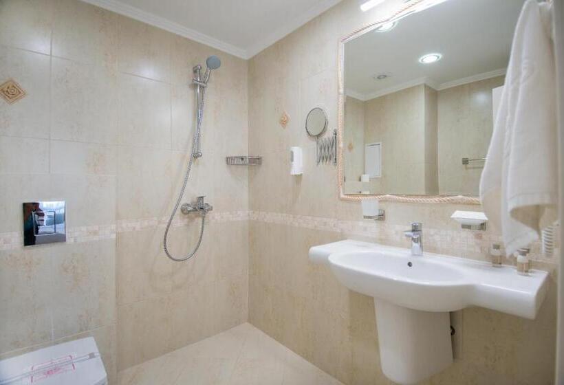 استودیو استاندارد با بالکن, Regina