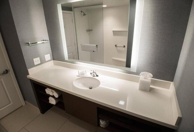 스위트 킹사이즈 침대, Residence Inn By Marriott Omaha West