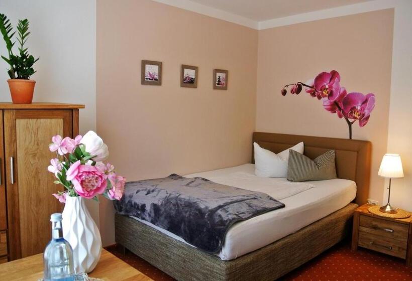 스탠다드 싱글 룸, Seehotel Lindenhof