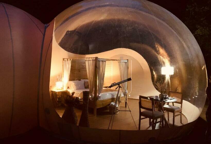 Люкс Кровать Кинг, Zion Bubble Glamping