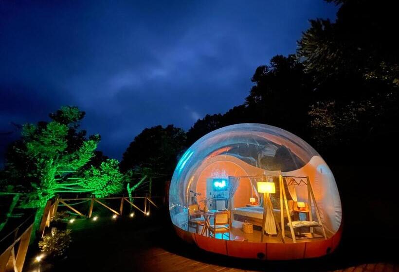 Люкс Кровать Кинг, Zion Bubble Glamping