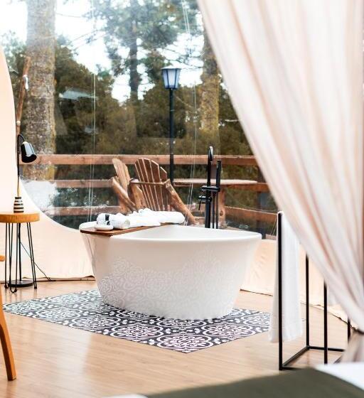 Люкс Повышенной Комфортности, Zion Bubble Glamping