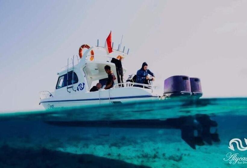 Люкс Deluxe Кровать Кинг, Eco Dive Resort Alycastre