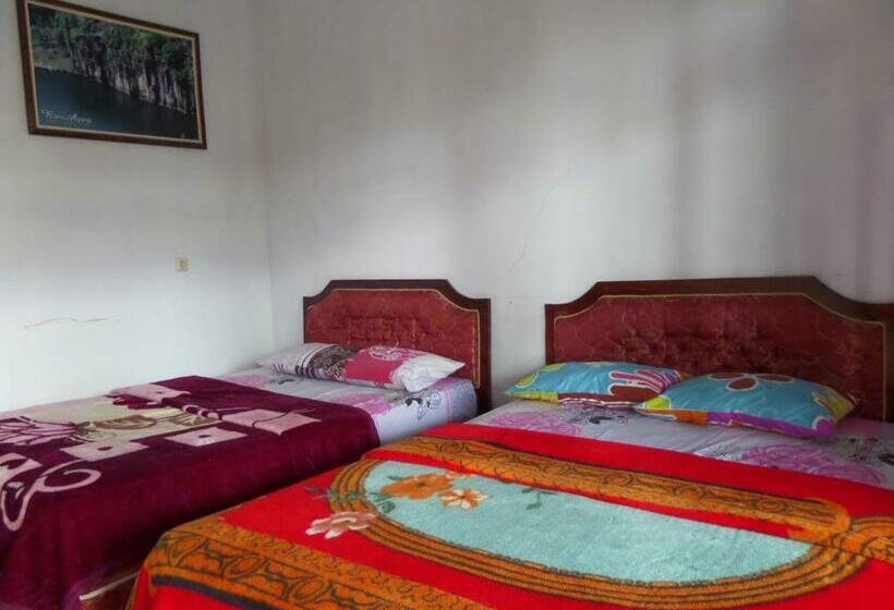 Номер Стандарт, Km 31 Sujono Guesthouse