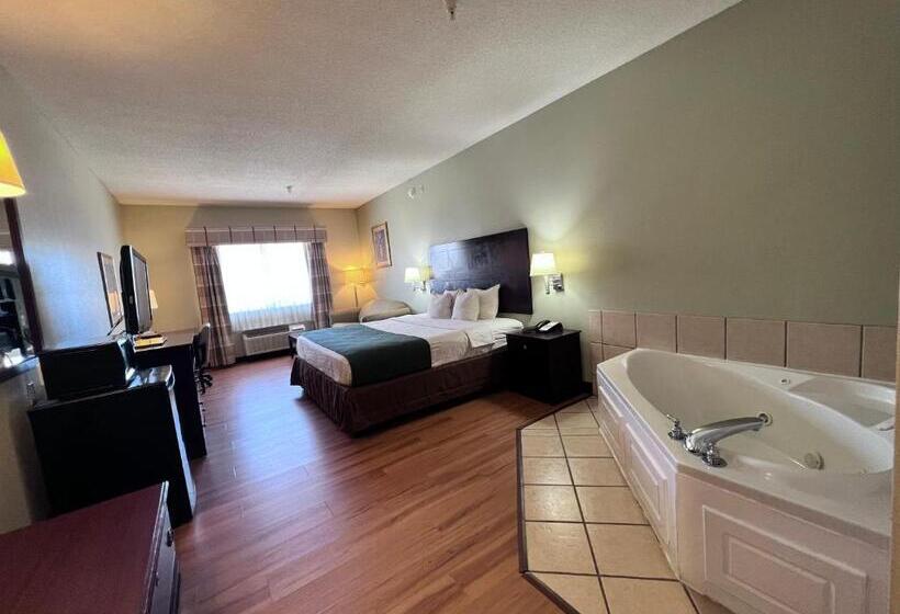스탠다드 룸 킹사이즈 침대, Americas Best Value Inn Wiggins