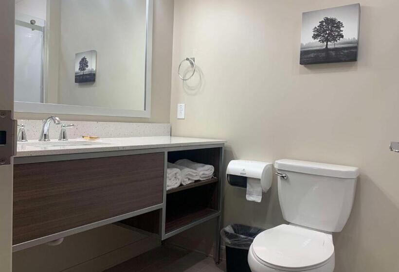 Номер Стандарт Кровать Кинг Адаптированный для Инвалидов, Best Western Plus Horseheads Inn & Suites